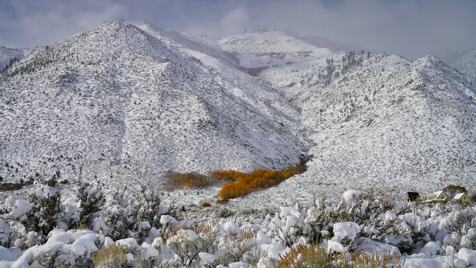 Snow-covered sagebrush and mountain slopes in Carson Valley near Carson City, Nevada